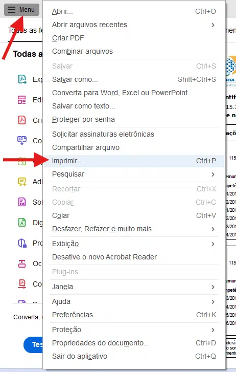 como imprimir cnis