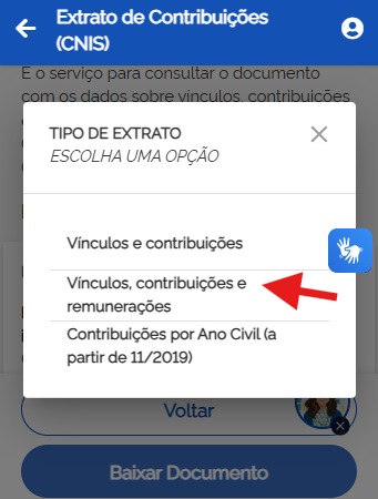 Vínculos contribuições remunerações CNIS