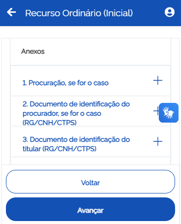Recurso ordinário anexos