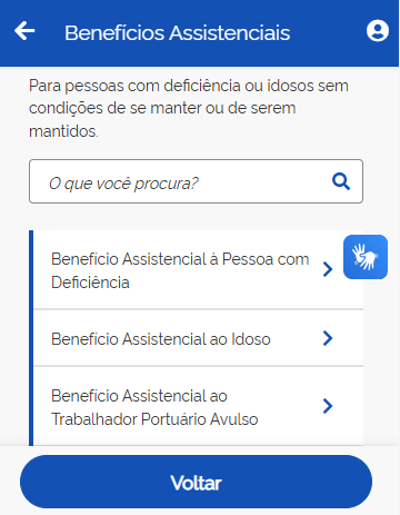 bpc meu inss