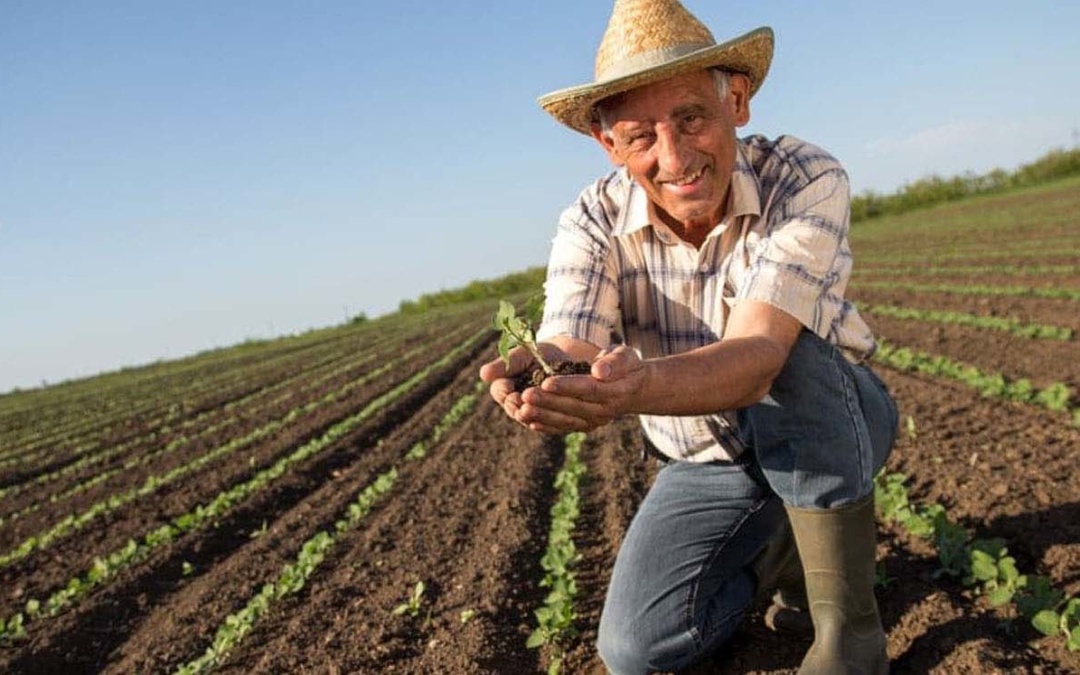 Aposentadoria Rural | Como Conseguir em 2021?