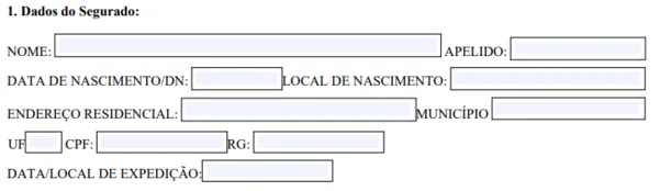 autodeclaracao-rural-modelo