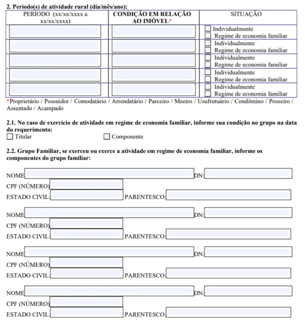 autodeclaracao-rural-modelo