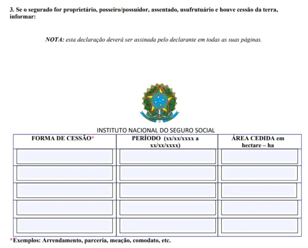 autodeclaracao-rural-modelo