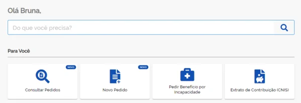 Buscador do Meu INSS.