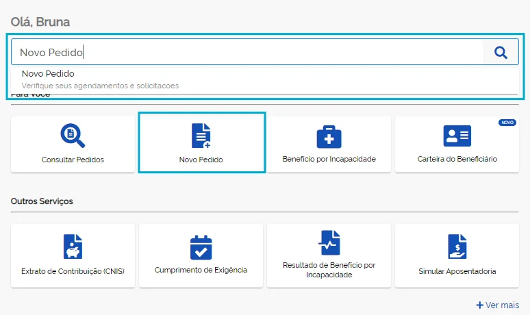 Novo Pedido no Meu INSS