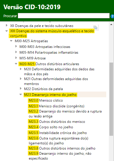 M23 Transtornos internos dos joelhos