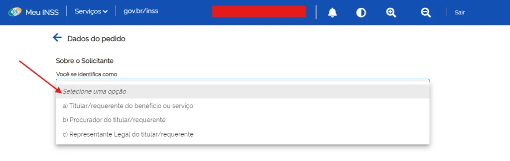 passo a passo pedir beneficio por incapacidade meu inss