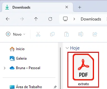 cnis em pdf