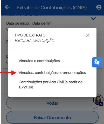 vínculos contribuições e remunerações cnis meu inss