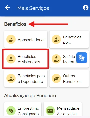 beneficios assistenciais meu inss