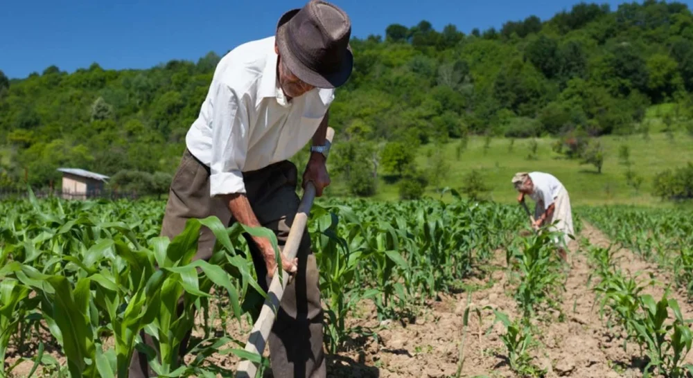 Como funciona a pensão por morte para o Trabalhador rural?
